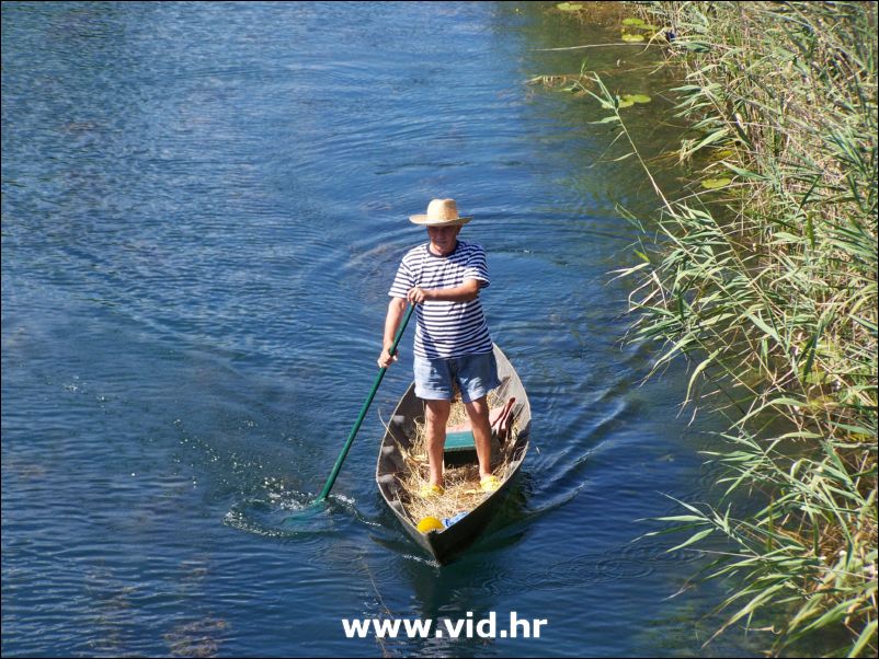 Mesic u Vidu (28)
